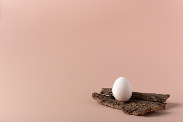 An egg on the bark of a tree on a delicate background with a copy of the space. Eco-friendly lifestyle.