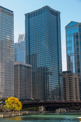Obraz premium buildings in Chicago downtown during autumn