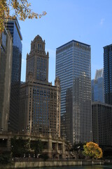 buildings in Chicago downtown during autumn