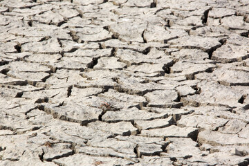The dried out river bed showing cracks during a drought