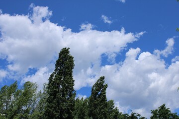 Primo pomeriggio in pianura Padana(italia)