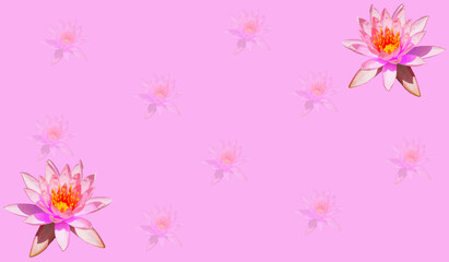 Lotus copy space background 1 , flower background for copy space and decorate your work