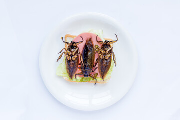 A big beetle on toast on a plate. Offer of edible insects - fried Giant Water Bug - Lethocerus indicus on sandwich toast