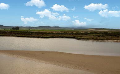 Andalusian beach