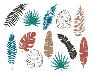 Fototapeta na wymiar Set of palm leaves, tropical plants, summer illustration