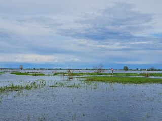 Warta Mouth National Park.  Spring backwaters between the Warta and Odra rivers, near Kostrzyn on the Oder.