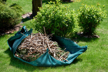The clipped branches are garden debris in the garden. - obrazy, fototapety, plakaty