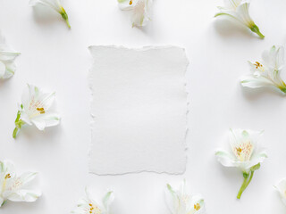 Paper card and fresh white flowers on a white background. Spring minimal concept. Place for your text.