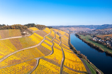 Aerial view, Germany, Rhineland-Palatinate, region Bernkastel-Wittlich, .Kesten, Moselle, vineyards in autumn