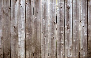 Gray boards of an old wooden fence