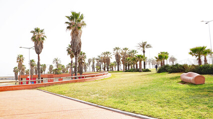 Obraz premium Jardines y puerto deportivo en el Port Forum, Barcelona, Catalunya, Spain, Europe 
