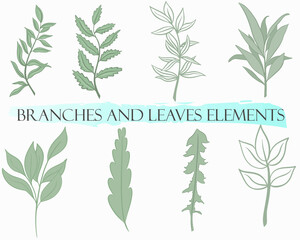 Set of branches and leaves, vector. Simple botanical green design elements. Hand drawing.