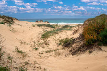 Andalusian beach