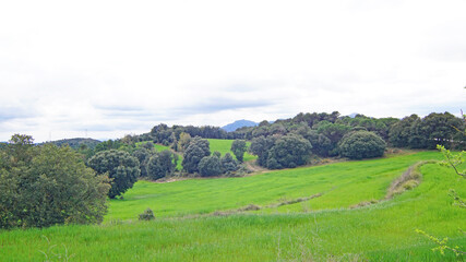 Granera, Comarca del Moyanes, Barcelona, Catalunya, España, Europa
