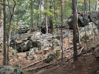 Fototapeta premium Huge moss-covered boulders lie on the slopes of the forest.