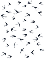 Flying swallow birds silhouettes vector illustration. Nomadic martlets flock isolated on white.