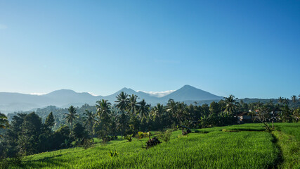 landscape in the mountains