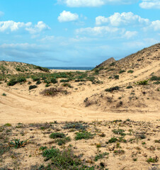 Meadows near the coast