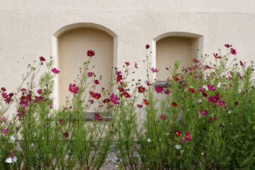 Kwiaty w przyklasztornym ogrodzie