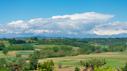 The famous italian alps, with white clouds on blue sky. The typical italian landscape in the foreground, with rural meadows, green fields dedicated to agricolture, and forests.
