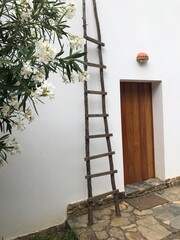 porta escadas flores 