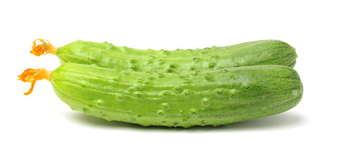Green cucumber on the white background