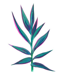 Hand drawn drawing of a branch with blue leaves isolated on white background - raster illustration. realistic drawing of a plant with blue pink leaves