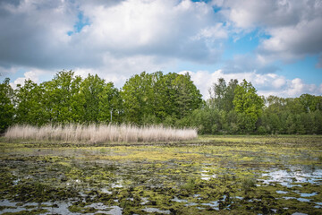 landscape with lake and clouds