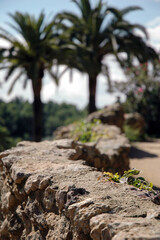 Close Up einer in die Tiefe verlaufenden, geschwungenen Steinmauer in Barcelona mit Palmen im Hintergrund