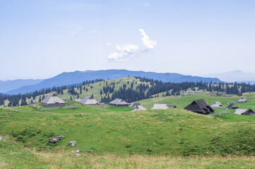 Naklejka premium authentic slovenian wooden huts in a green alpine valley for seasonal horned cattle grazing