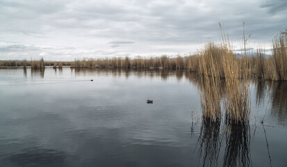 Cloudy panorama view of landscapes with marshes and lakes inside the Central Anatolian Sultan Reedy (Sultansazligi) National Park, Turkey