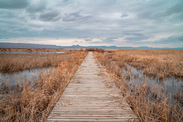 Obraz premium Panoramic view of a wooden foot bridge leading through marshes and lakes inside the Central Anatolian Sultan Reedy (Sultansazligi) National Park, Turkey