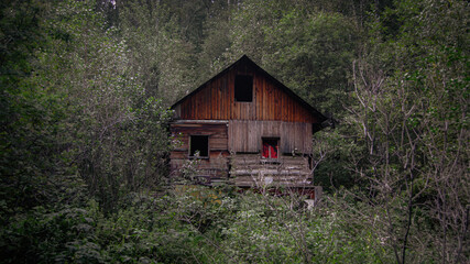 old house in the woods