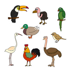 Obraz premium Set of birds vector Cartoon birds