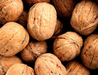 walnuts fresh picked in summer