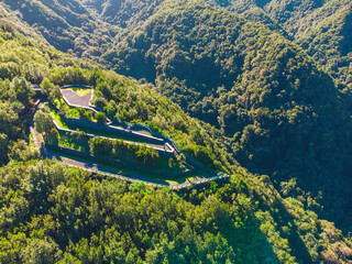 Drone view of forest and plant vegetation on La Palma island.