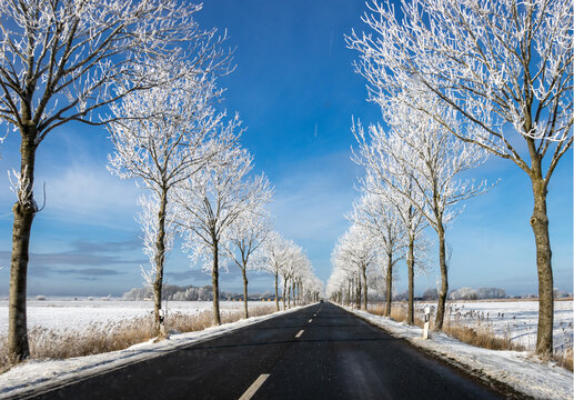 Winterlandschaft, raureif auf den B&auml;umen, Winter, Landstra&szlig;e, Germany