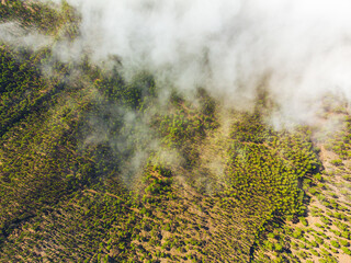 Mountain trail above the clouds on La Palma island. Aerial view.