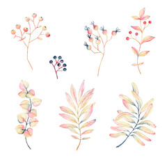 hand drawn collection of watercolor leaves and berries in pastel colors isolated on white background, high resolution botanical illustration for seasonal, wedding, holiday design
