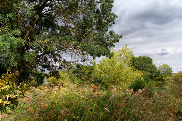 Path along the Marne River in Seine et Marne country. Précy-sur-Marne village