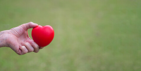 Fototapeta na wymiar Hand of a senior woman holding a red heart shape on the green grass background. Space for text. Aged people and healthcare concept