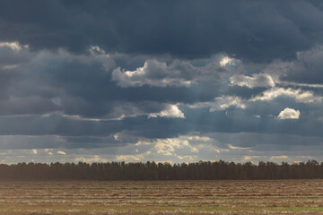 Cloudy sky over the field