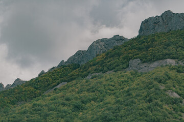 Green hills and mountains, the nature of Crimea