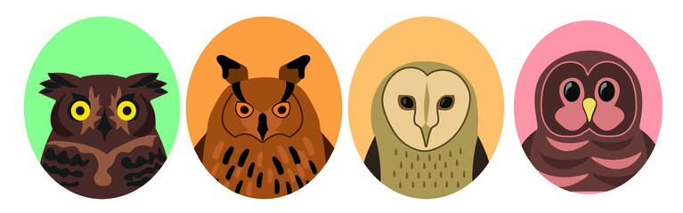 vector image of an owl in a hollow set