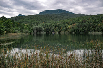 Fototapeta na wymiar Green hills and mountains, the nature of Crimea