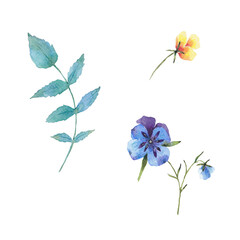 Paint set of hand-drawn watercolor pansies flowers on a white background. Use for menus, invitations, wedding