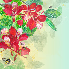 Spring Flowering Background. Red flowers of Delonix regia with some honeybee. Handmade illustration with digital elements. Copy space for text.
