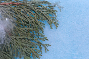background tree frozen in ice