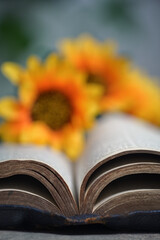 An Open Holy Bible and Sunflowers  on Stone Table