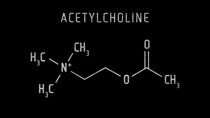 Acetylcholine or ACh Molecular Structure Symbol Sketch or Drawing on black background